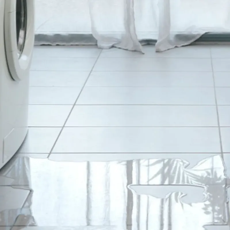 Appliance Leak Cleanup in Avon, MN