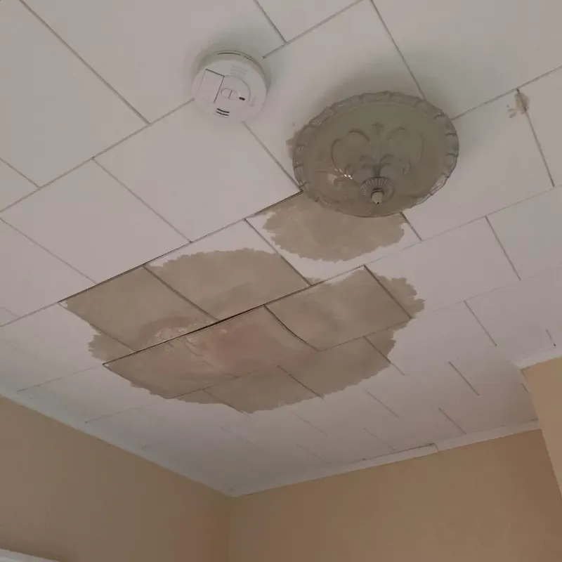 Ceiling Water Damage Repair in Avon, MN